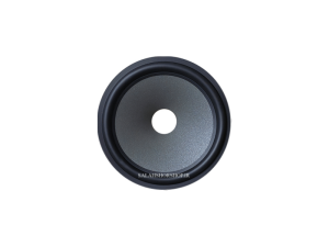 صفحه بلندگو 8 اینچ اکلیلی فوم لاستیکی گلویی 39mm